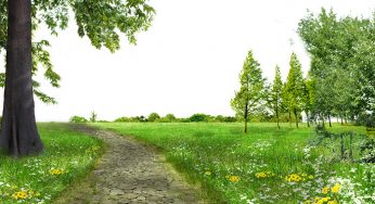 نداشتن اخبات مانع اصلی رسیدن به آرزو هام