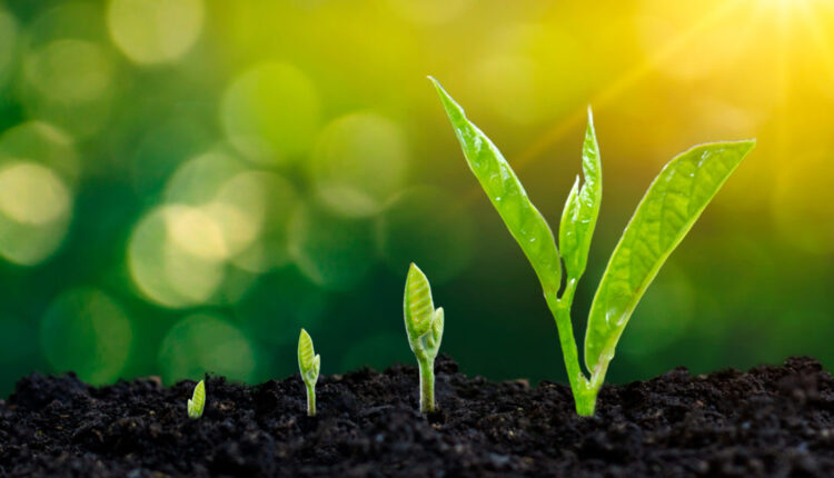 رشد معنوی و نشاط و حال خوب